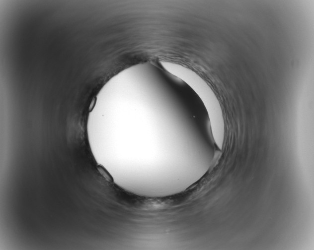 X0000088090613200706081751