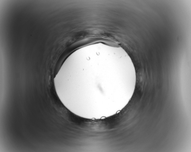 X0000088090615200706081751