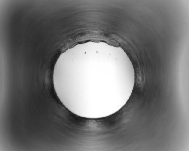 X0000088090616200706081751