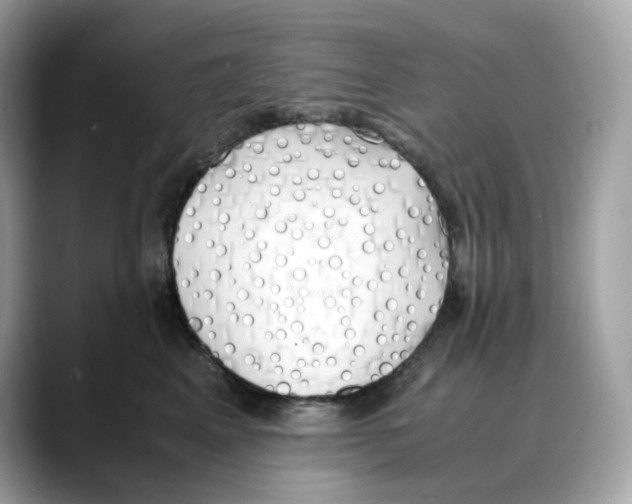 X0000088090617200706081751