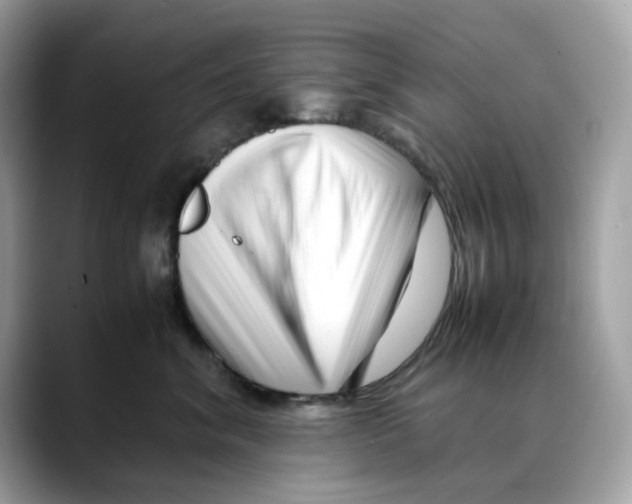 X0000088090620200706081751