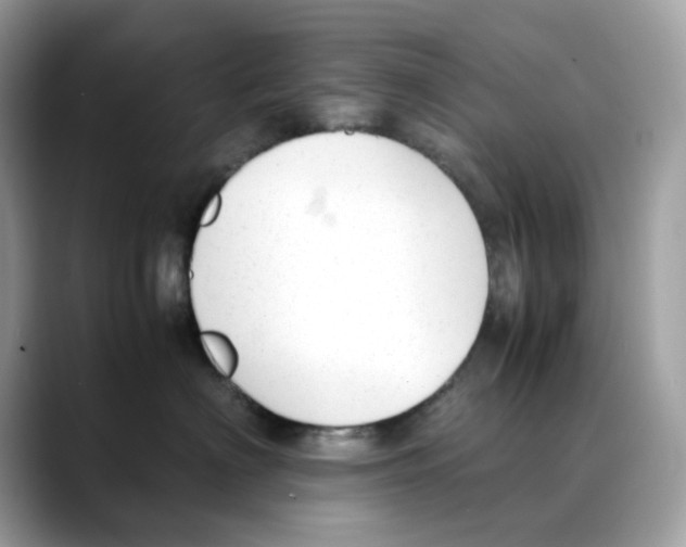 X0000088090622200706081751