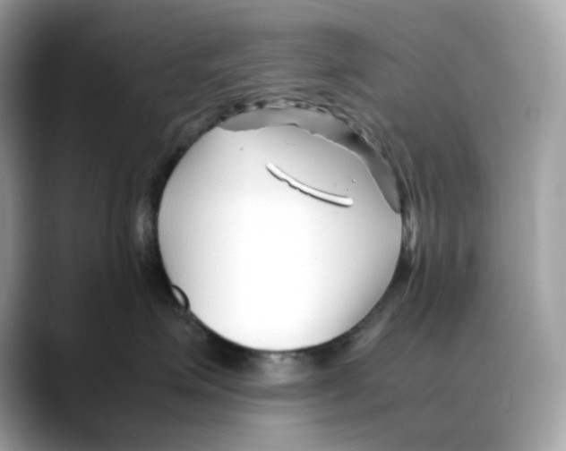 X0000088090623200706081751