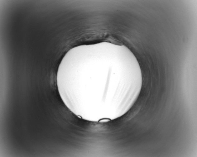 X0000088090624200706081751