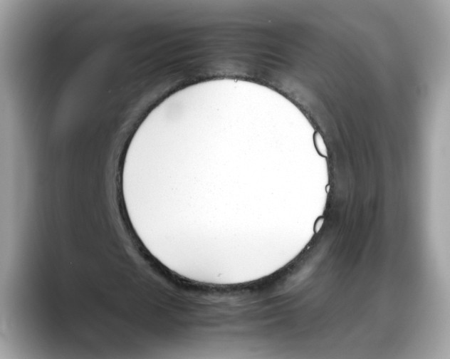 X0000088090625200706081750