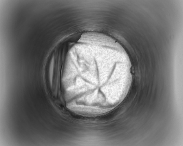 X0000088090626200706081751