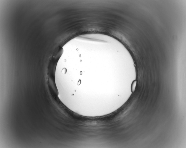 X0000088090629200706081751