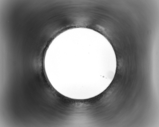 X0000088090632200706081751