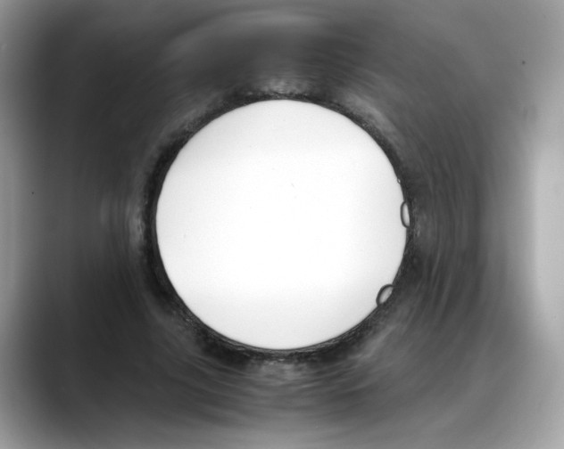 X0000088090635200706081751