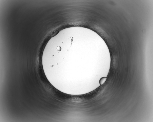 X0000088090636200706081751