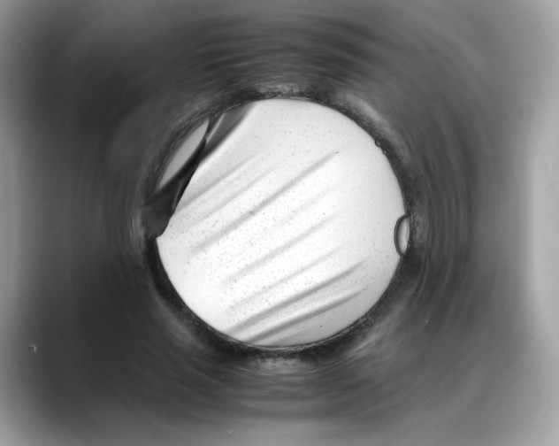 X0000088090637200706081751