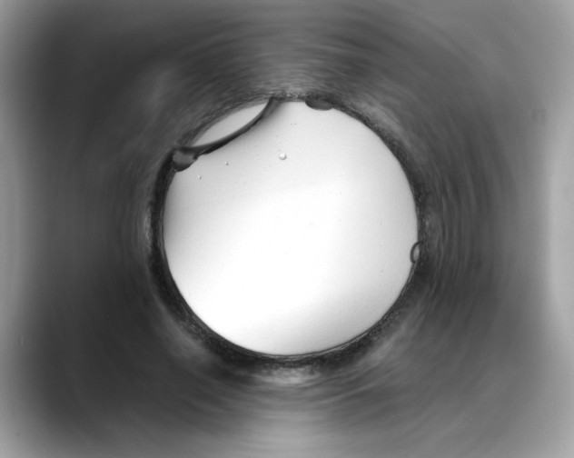 X0000088090638200706081751