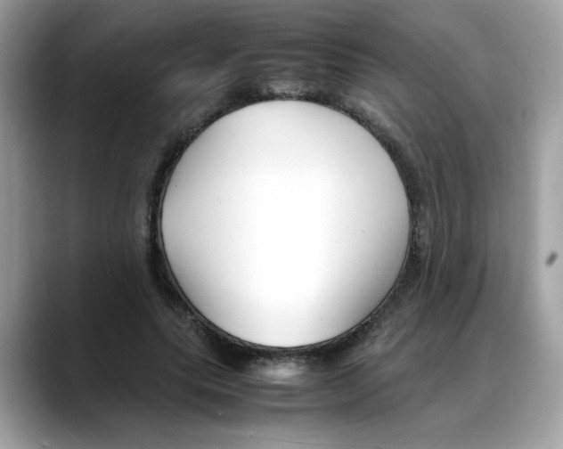 X0000088090639200706081751