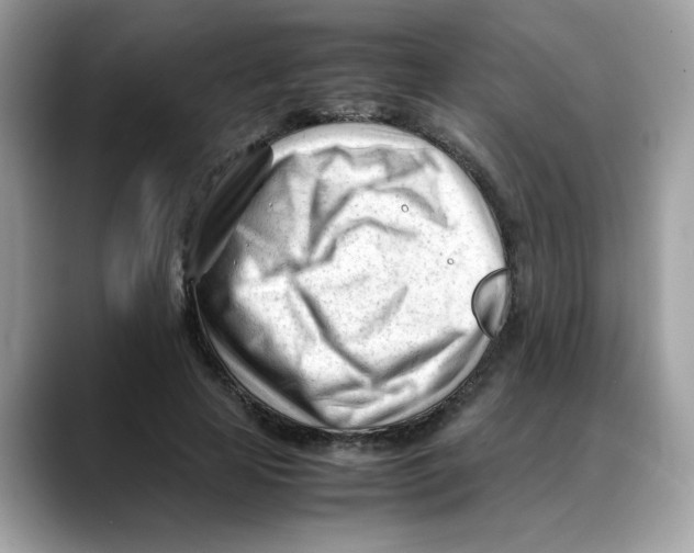 X0000088090641200706081751
