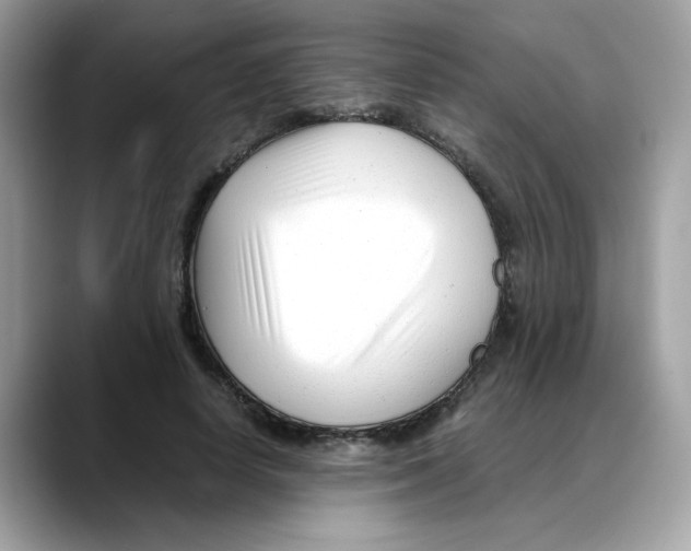 X0000088090642200706081751