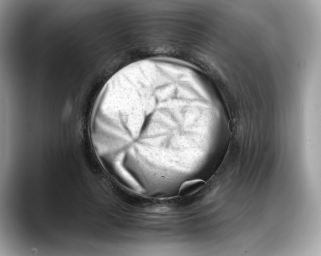 X0000088090643200706081751