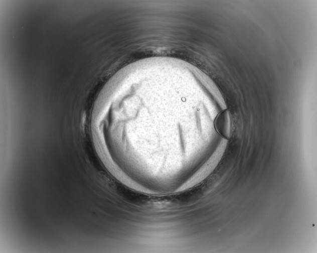 X0000088090650200706081751