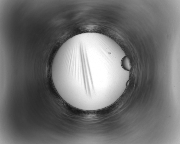 X0000088090651200706081751