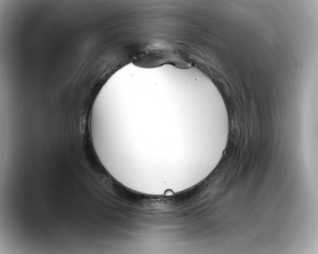 X0000088090652200706081751