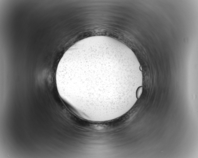X0000088090654200706081751