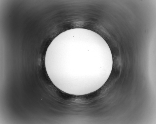 X0000088090655200706081751