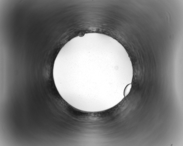 X0000088090656200706081751