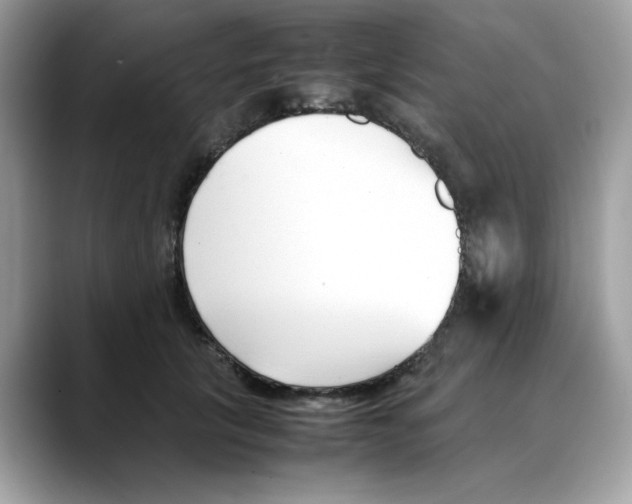 X0000088090657200706081751