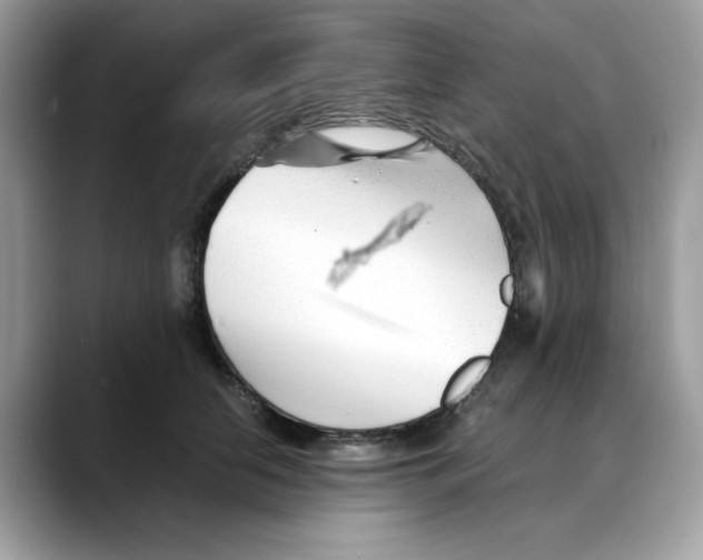 X0000088090658200706081751
