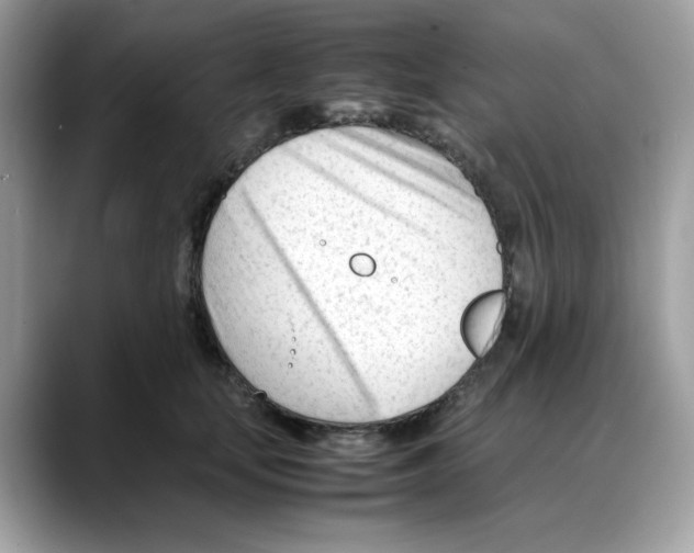 X0000088090659200706081751