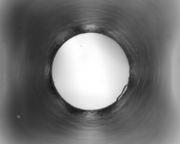 X0000088090660200706081751