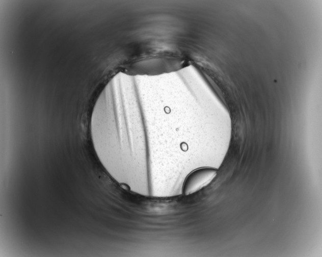 X0000088090661200706081751
