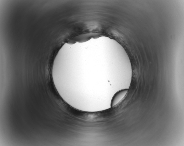 X0000088090662200706081751