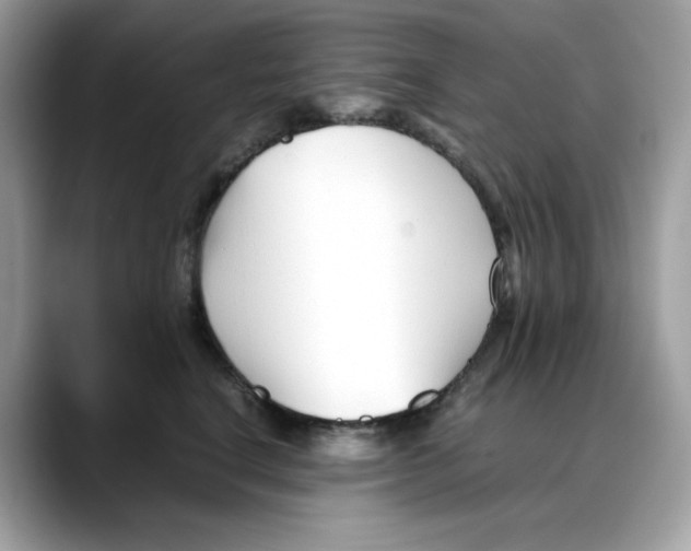 X0000088090664200706081751