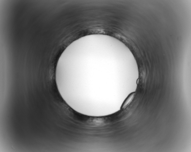 X0000088090665200706081751