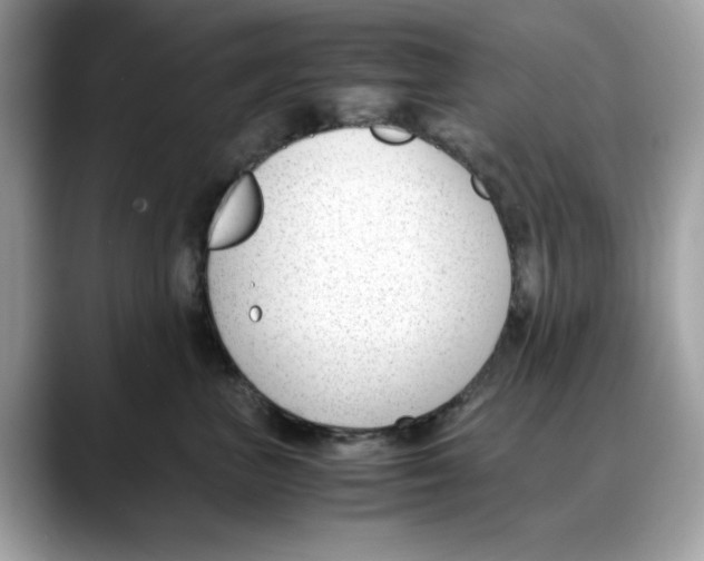 X0000088090667200706081751