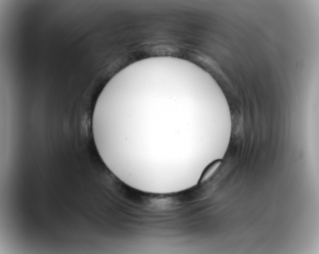 X0000088090669200706081751