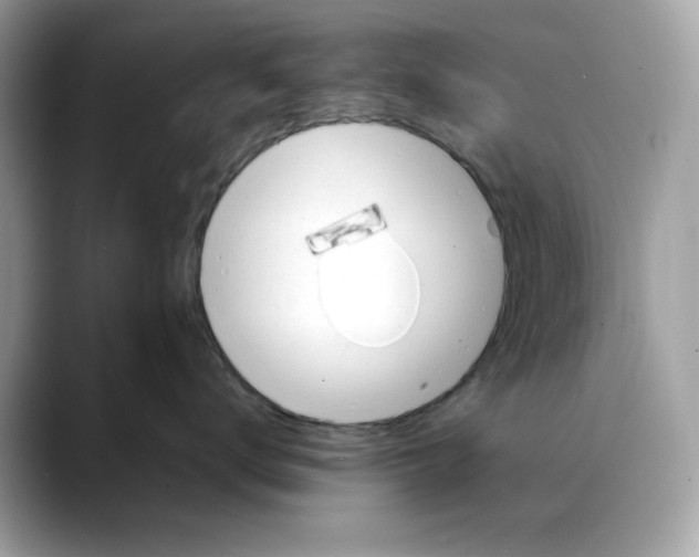 X0000088090672200706081751