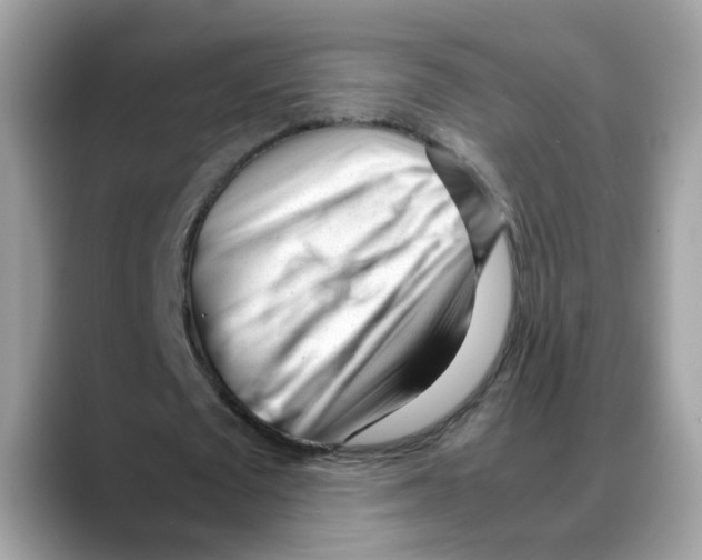 X0000088090673200706081750
