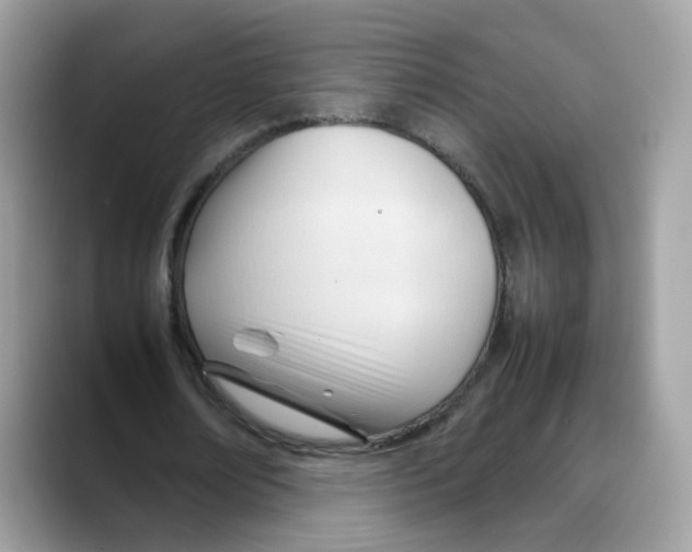 X0000088090674200706081750