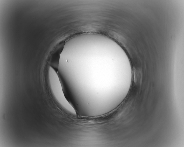 X0000088090675200706081750