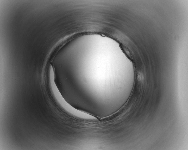 X0000088090676200706081750