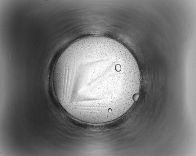 X0000088090679200706081750