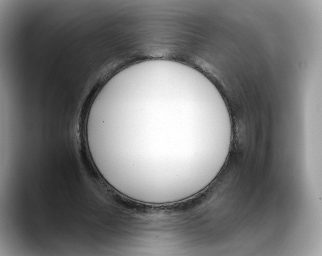 X0000088090682200706081750