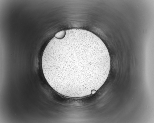 X0000088090683200706081750