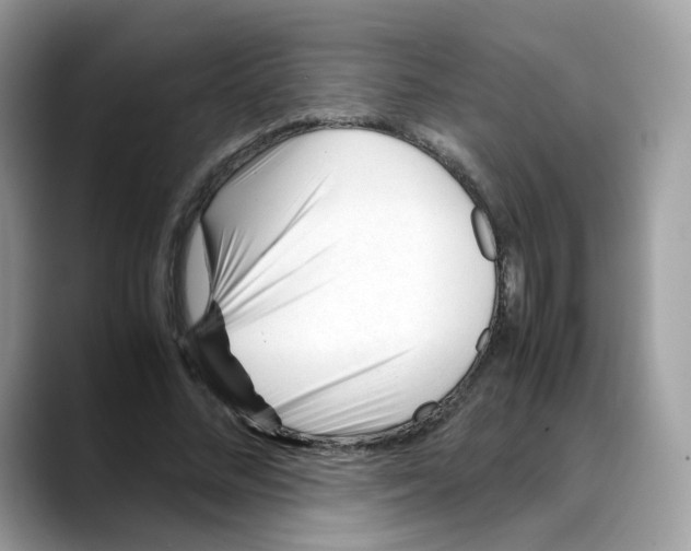 X0000088090684200706081750