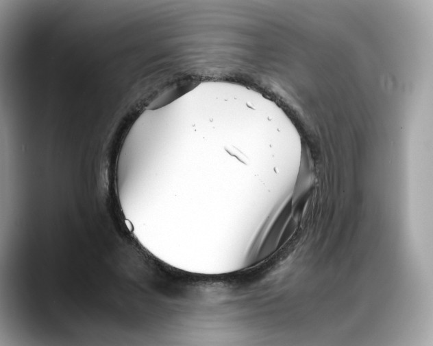 X0000088090685200706081750