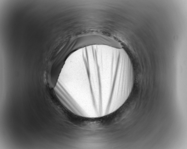 X0000088090689200706081750