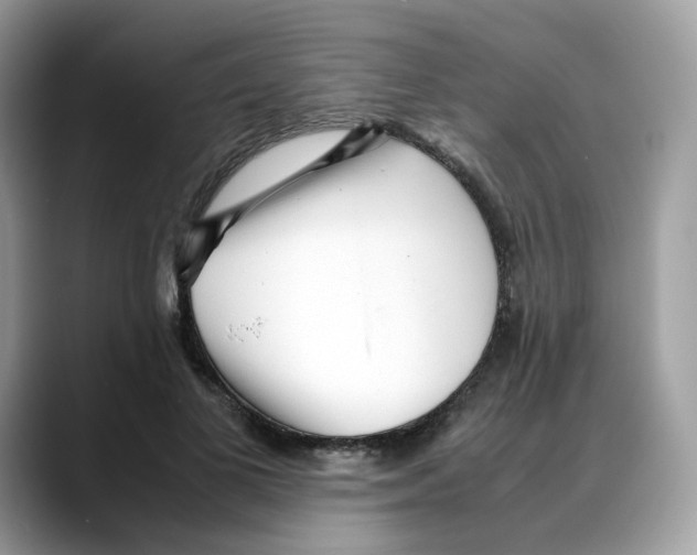 X0000088090693200706081750