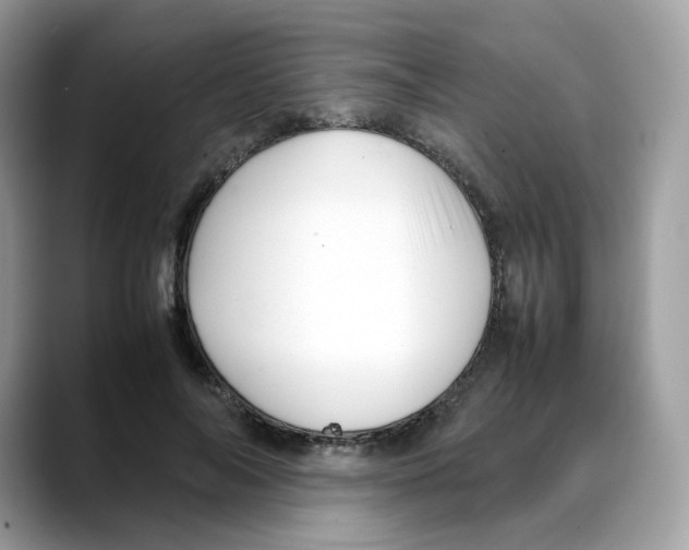 X0000088090694200706081750