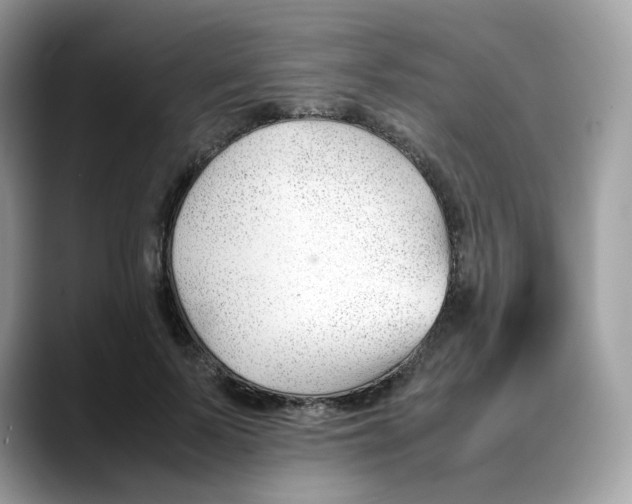 X0000088090695200706081750
